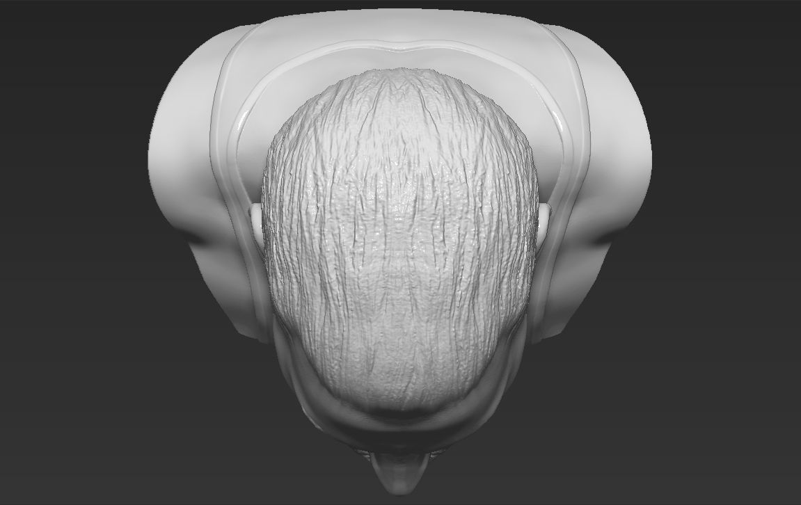 Freddie Mercury bust 3D printing ready stl obj formats 3D print model_20