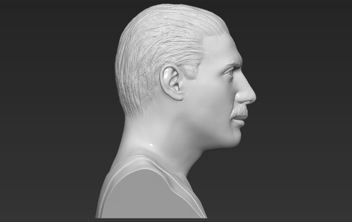 Freddie Mercury bust 3D printing ready stl obj formats 3D print model_8