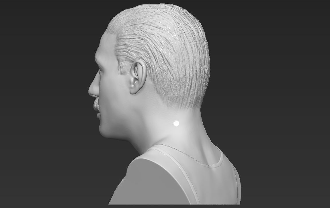 Freddie Mercury bust 3D printing ready stl obj formats 3D print model_4