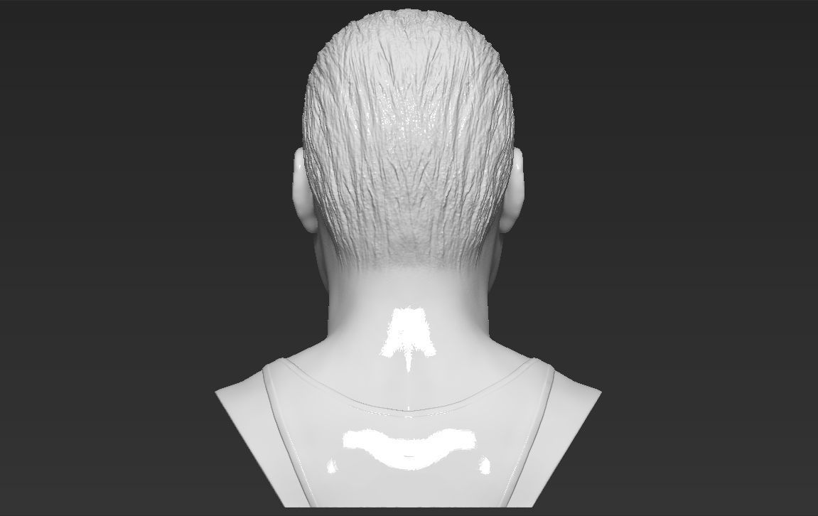 Freddie Mercury bust 3D printing ready stl obj formats 3D print model_6