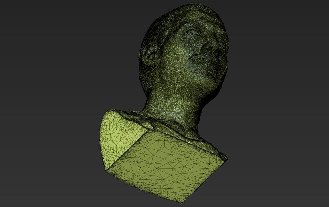 Freddie Mercury bust 3D printing ready stl obj formats 3D print model_27