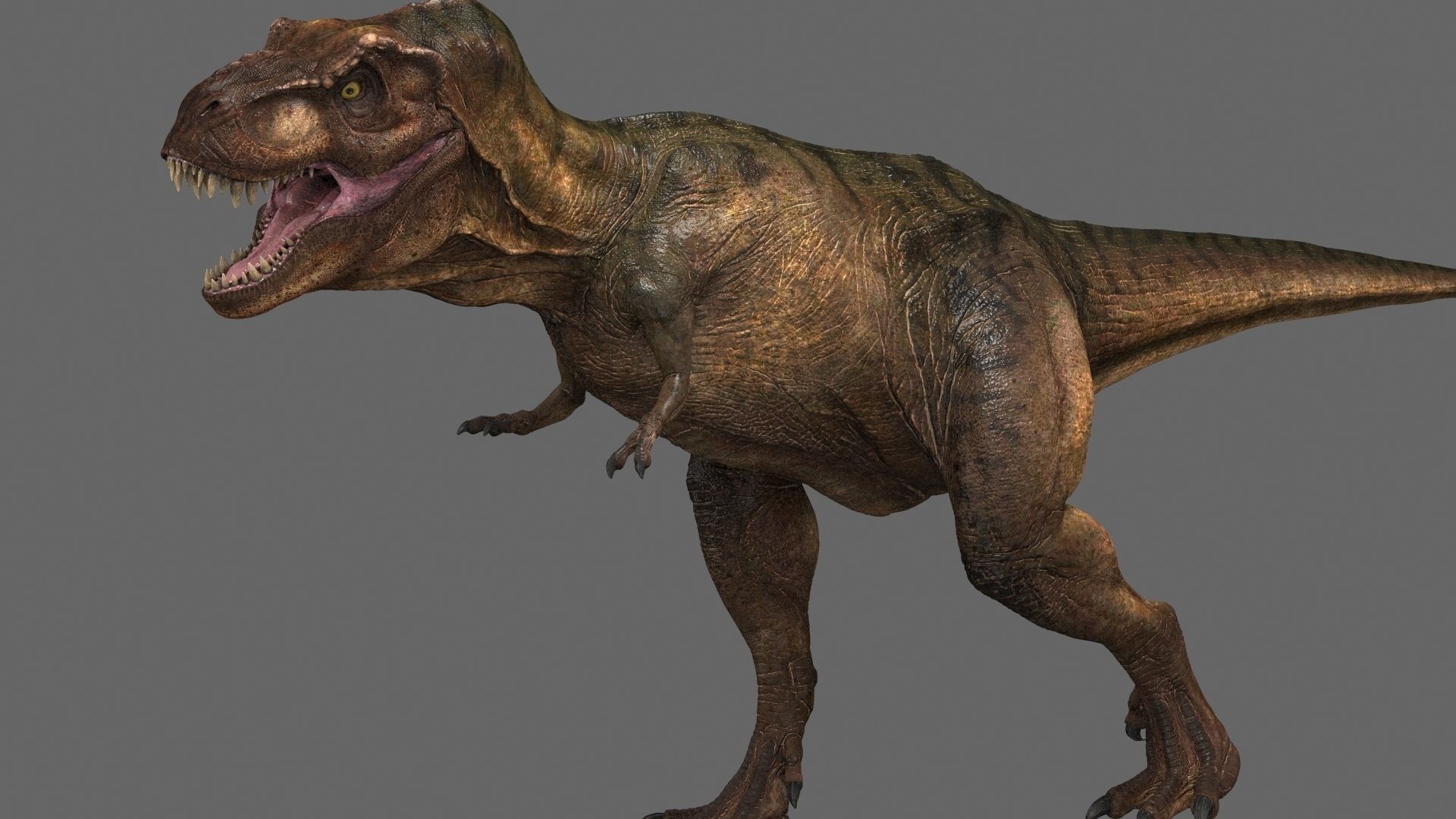 Tyrannosaurus rex -maya 3D model_2