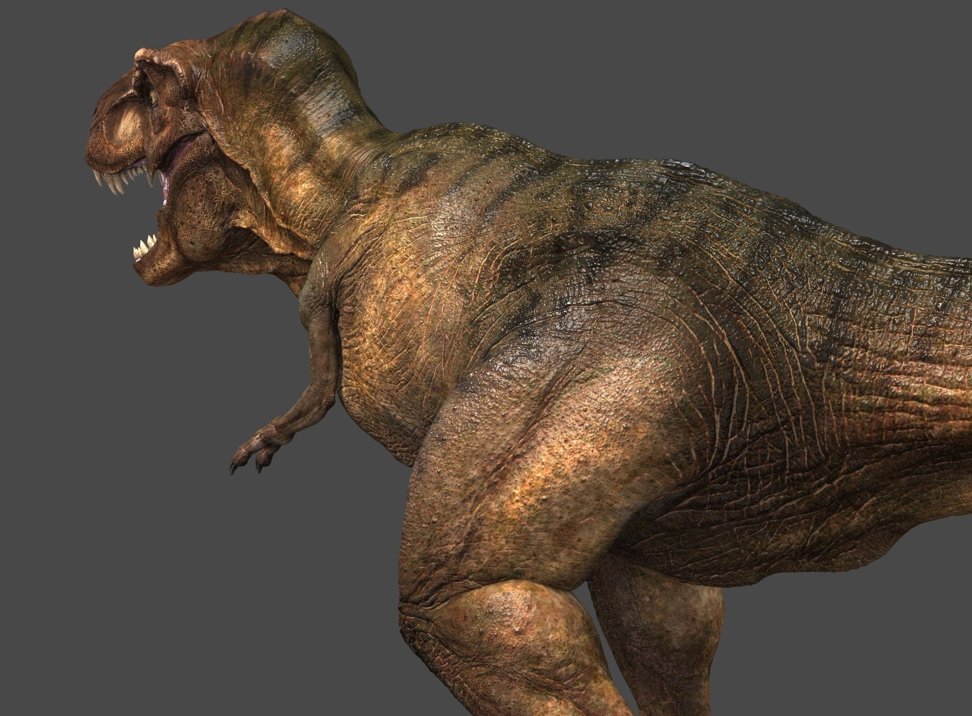 Tyrannosaurus rex -maya 3D model_7