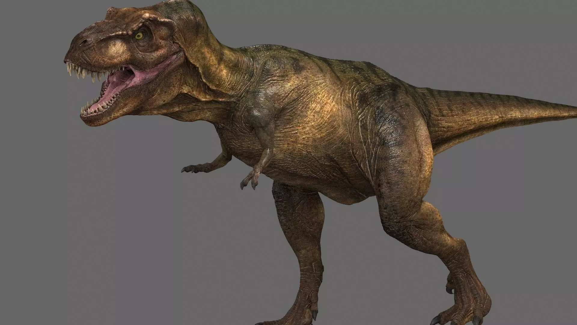 Tyrannosaurus rex -maya 3D model_0