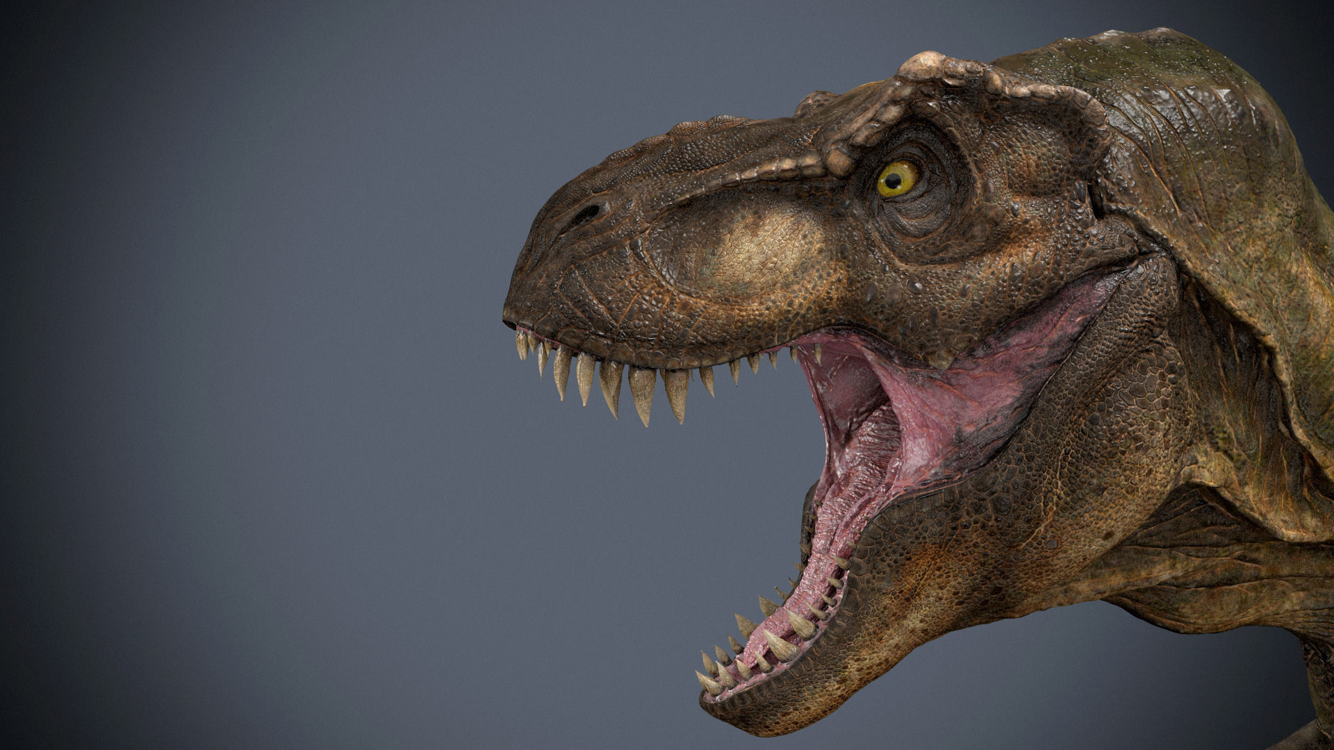 Tyrannosaurus rex -maya 3D model_1