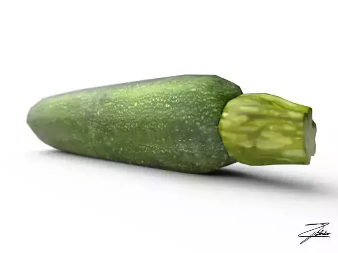 Zucchini cucumber 3D model