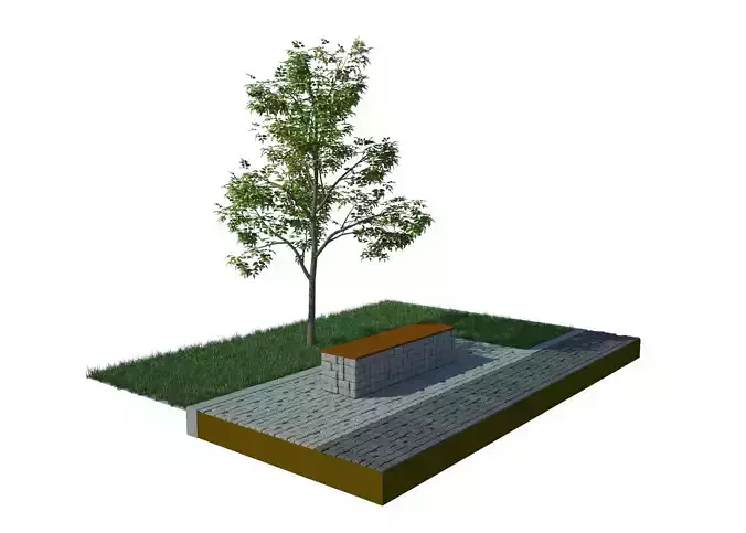 Bench with tree in middle