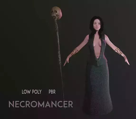 Necromancer Character Low-poly 3D model