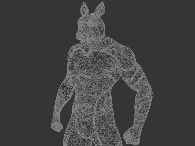 Animal Hero Of Rabbit 3D print model_9