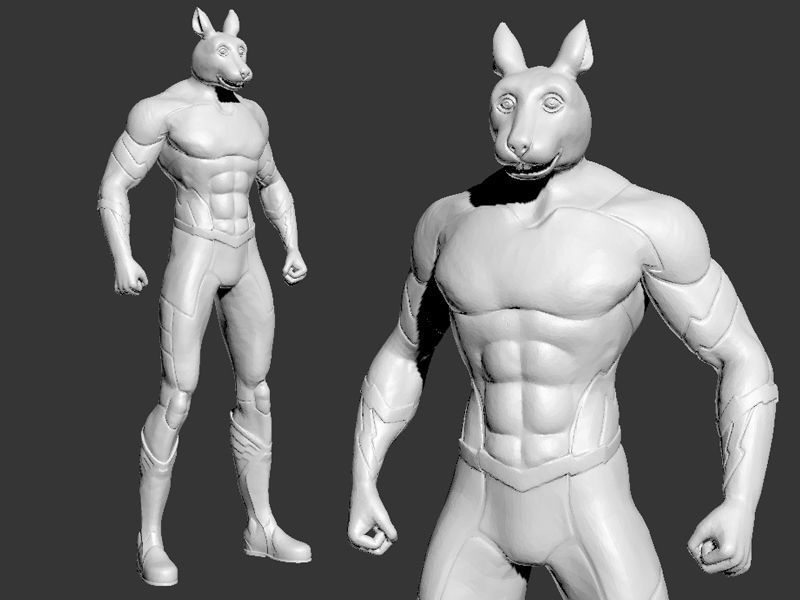 Animal Hero Of Rabbit 3D print model_7