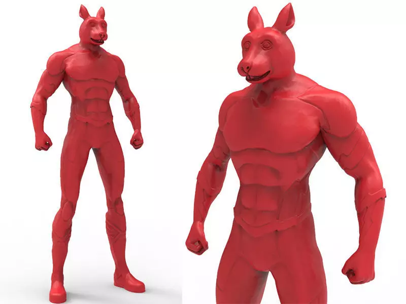 Animal Hero Of Rabbit 3D print model_0