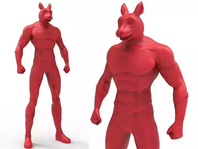 Animal Hero Of Rabbit