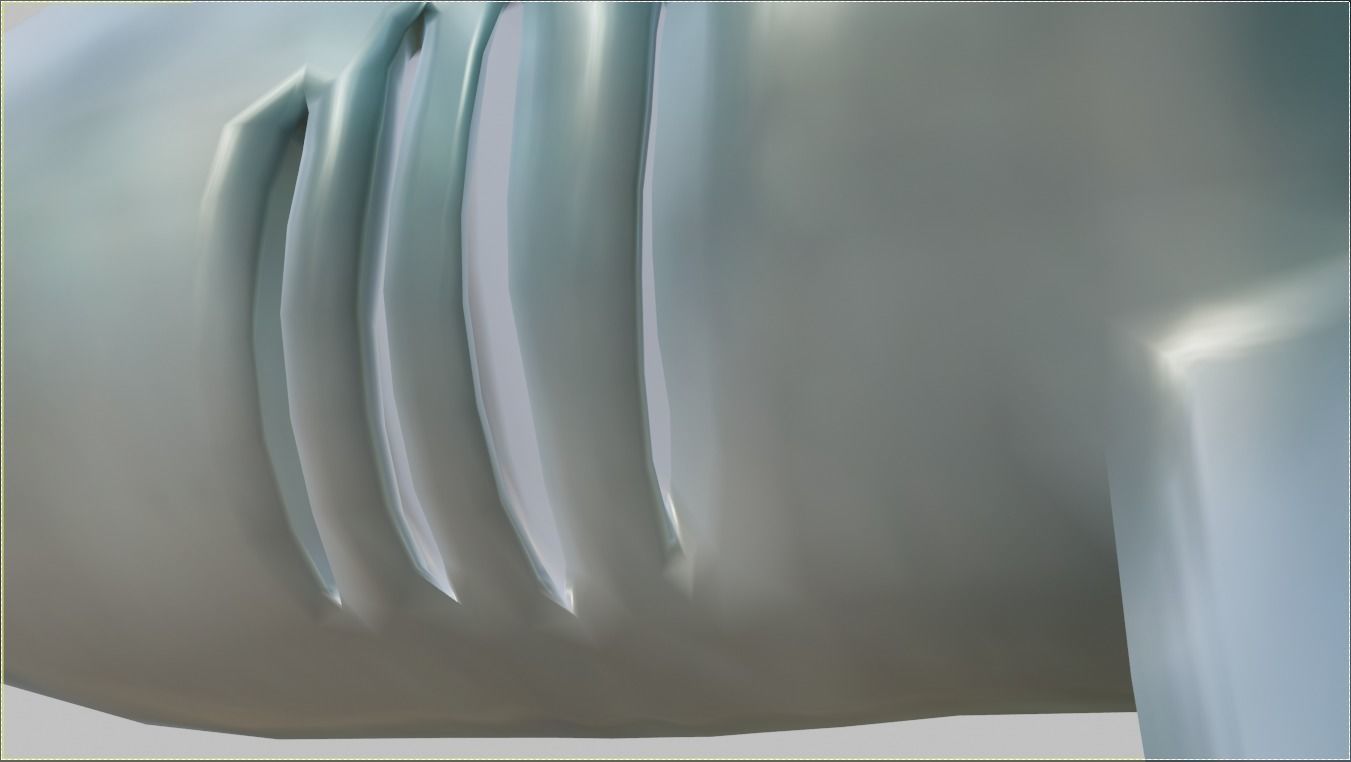 Hammerhead Shark 3D model_5