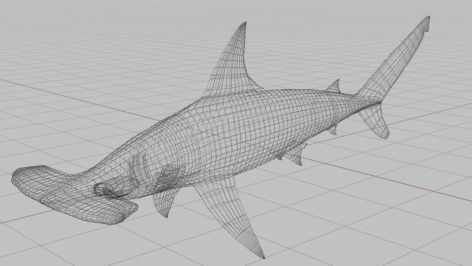 Hammerhead Shark 3D model_2
