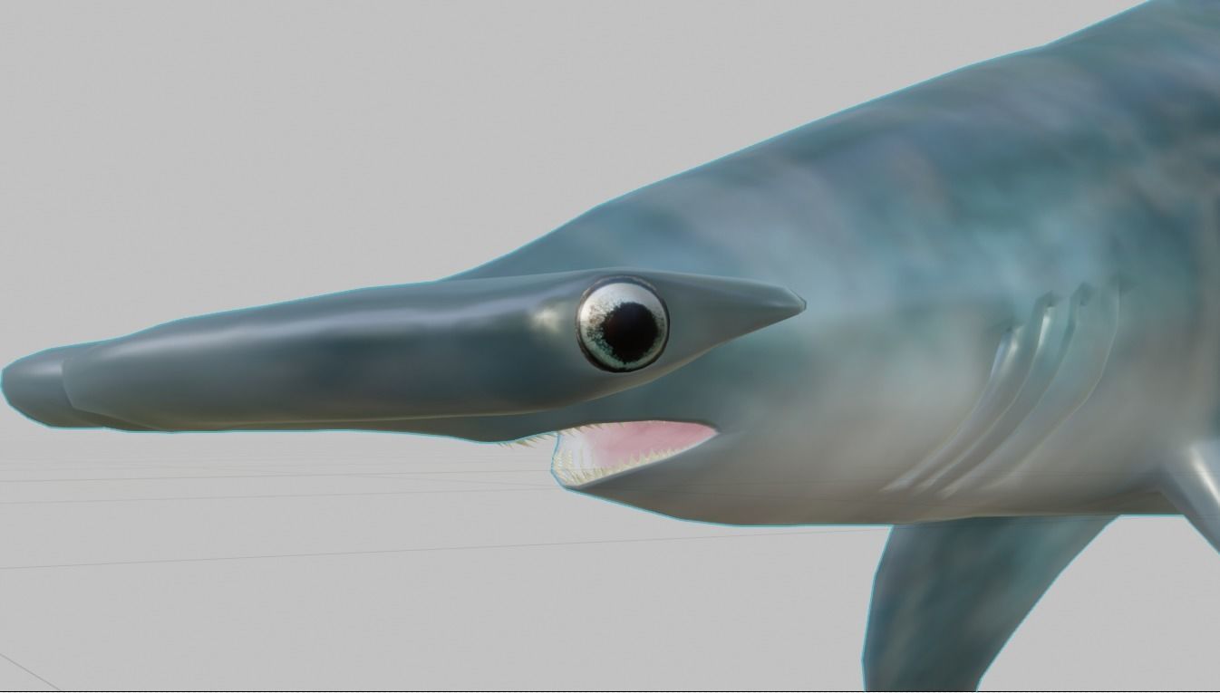 Hammerhead Shark 3D model_1