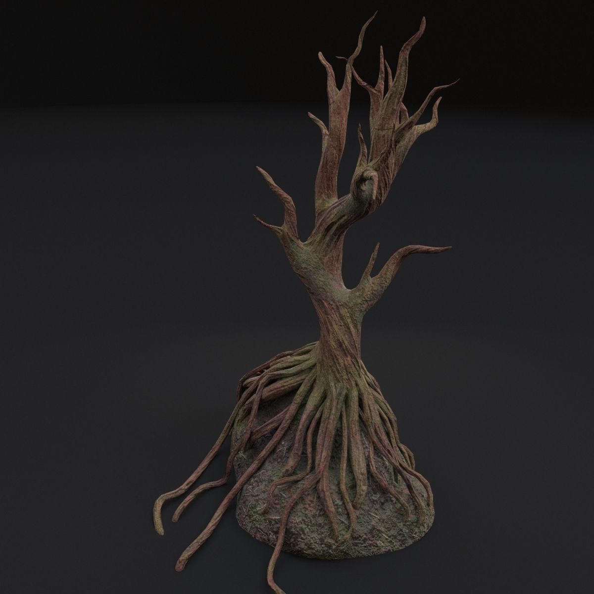 Old tree 3D model_3