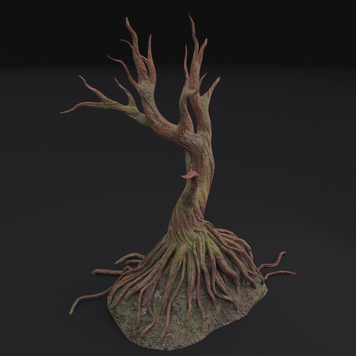 Old tree 3D model_2
