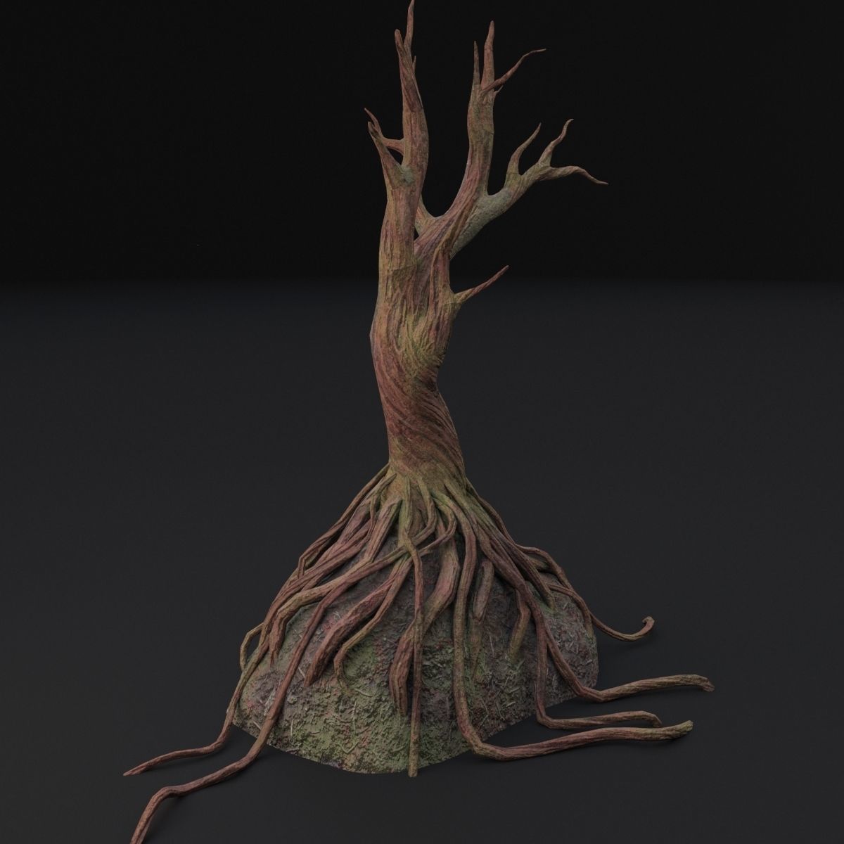 Old tree 3D model_10
