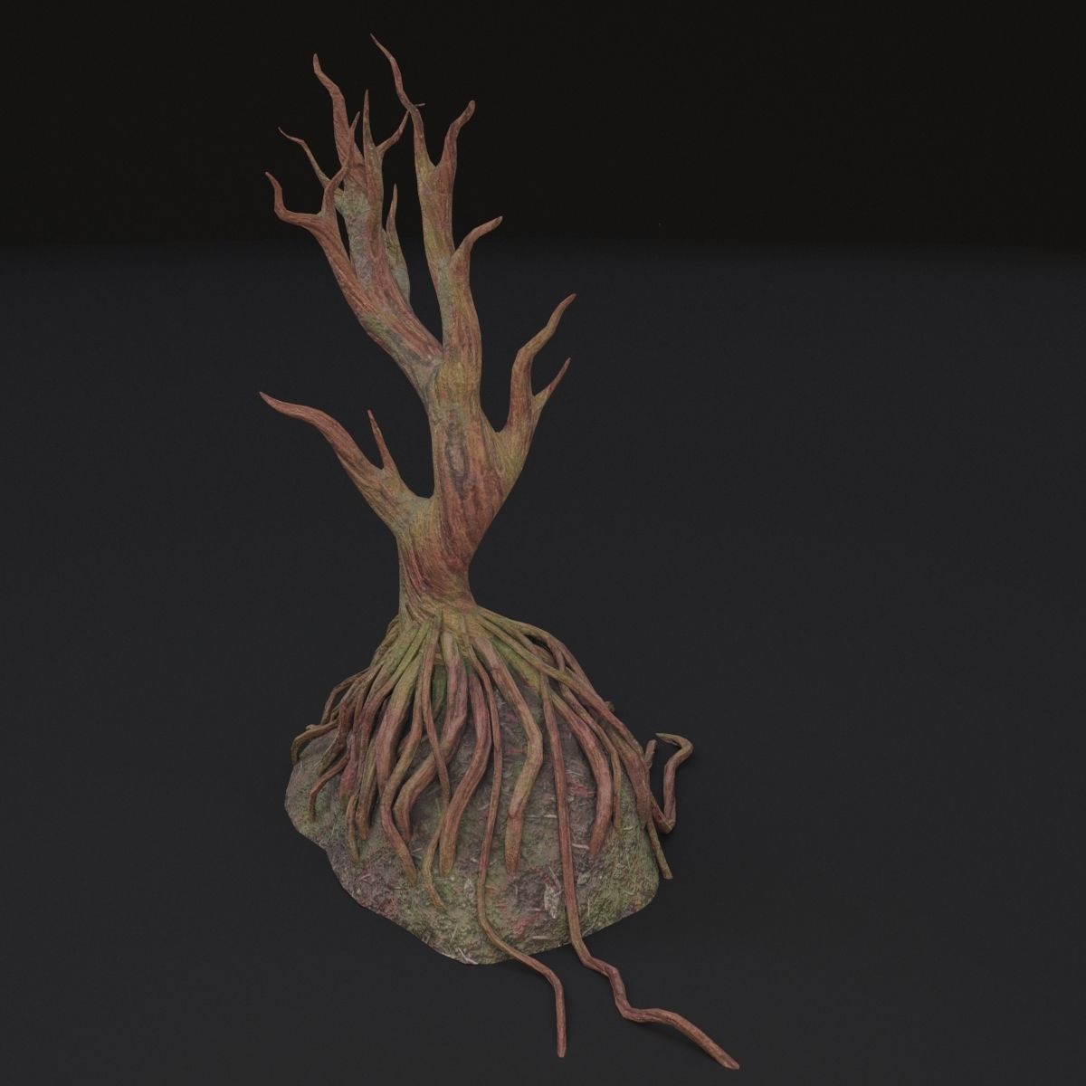 Old tree 3D model_5