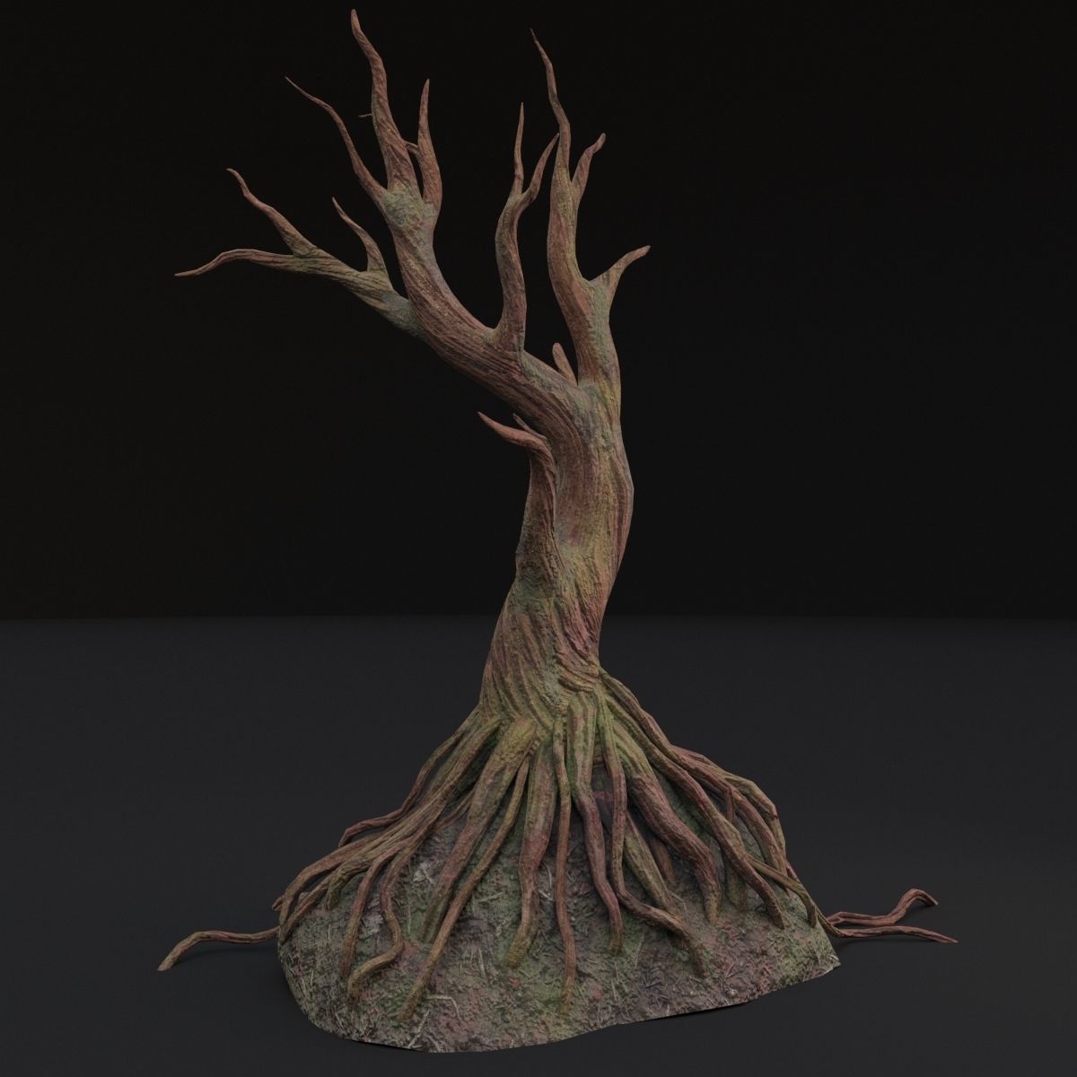 Old tree 3D model_8