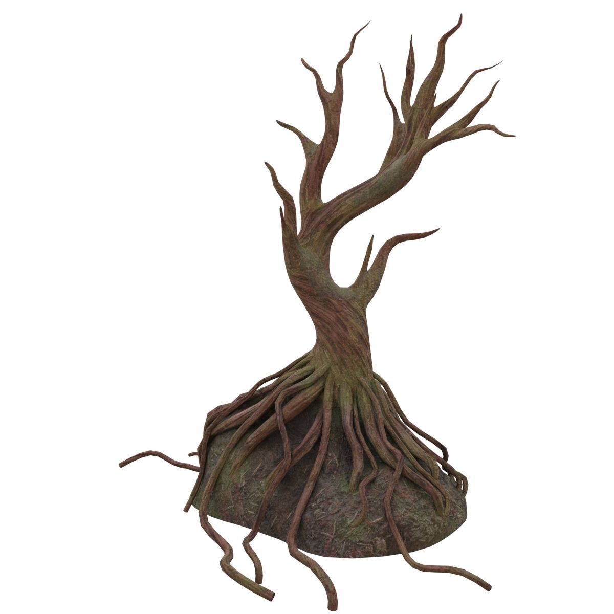 Old tree 3D model_1