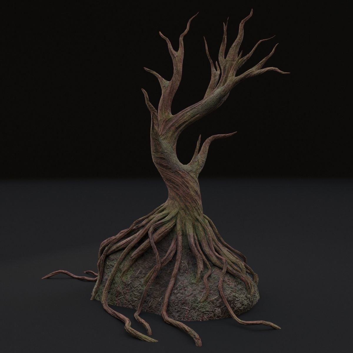 Old tree 3D model_9