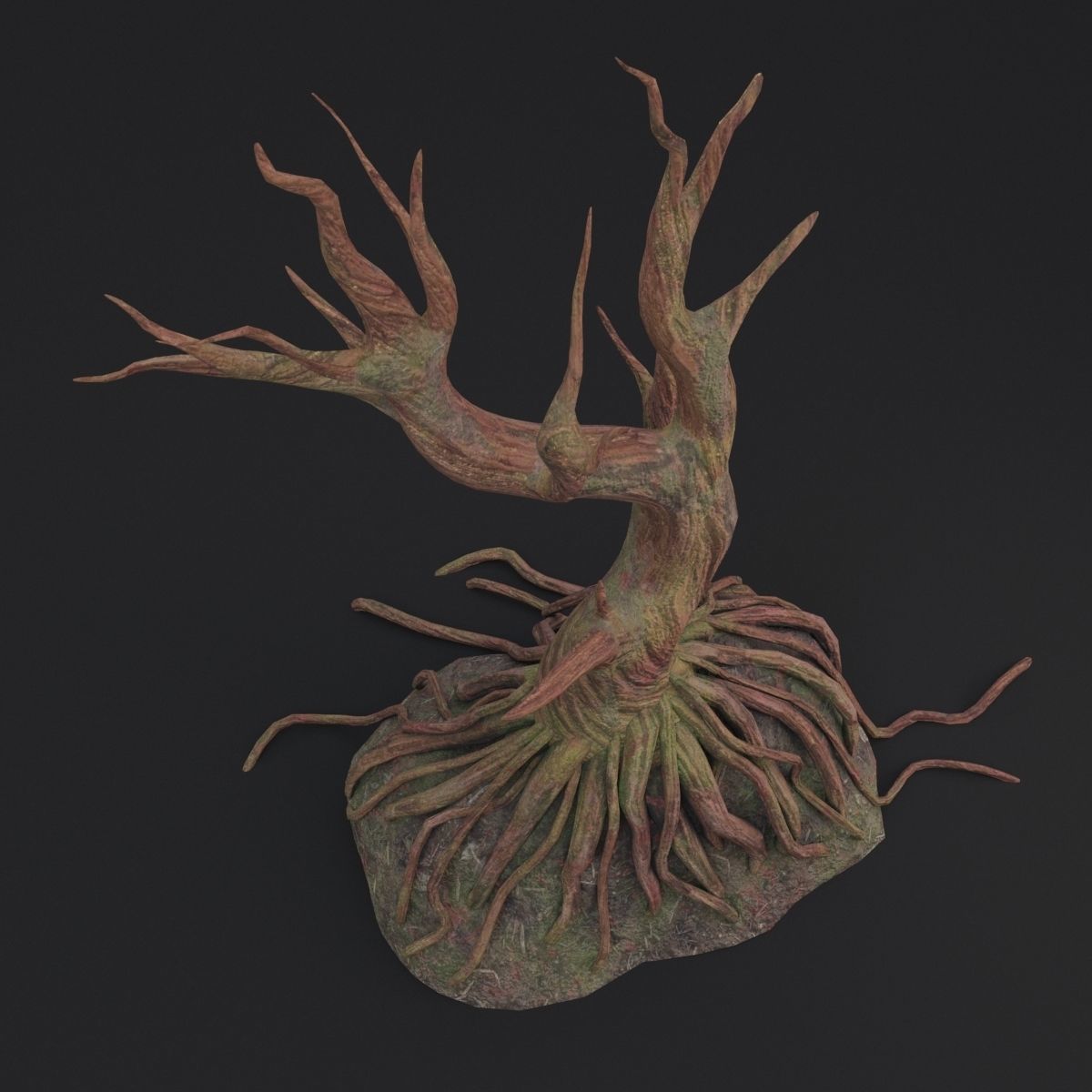 Old tree 3D model_6