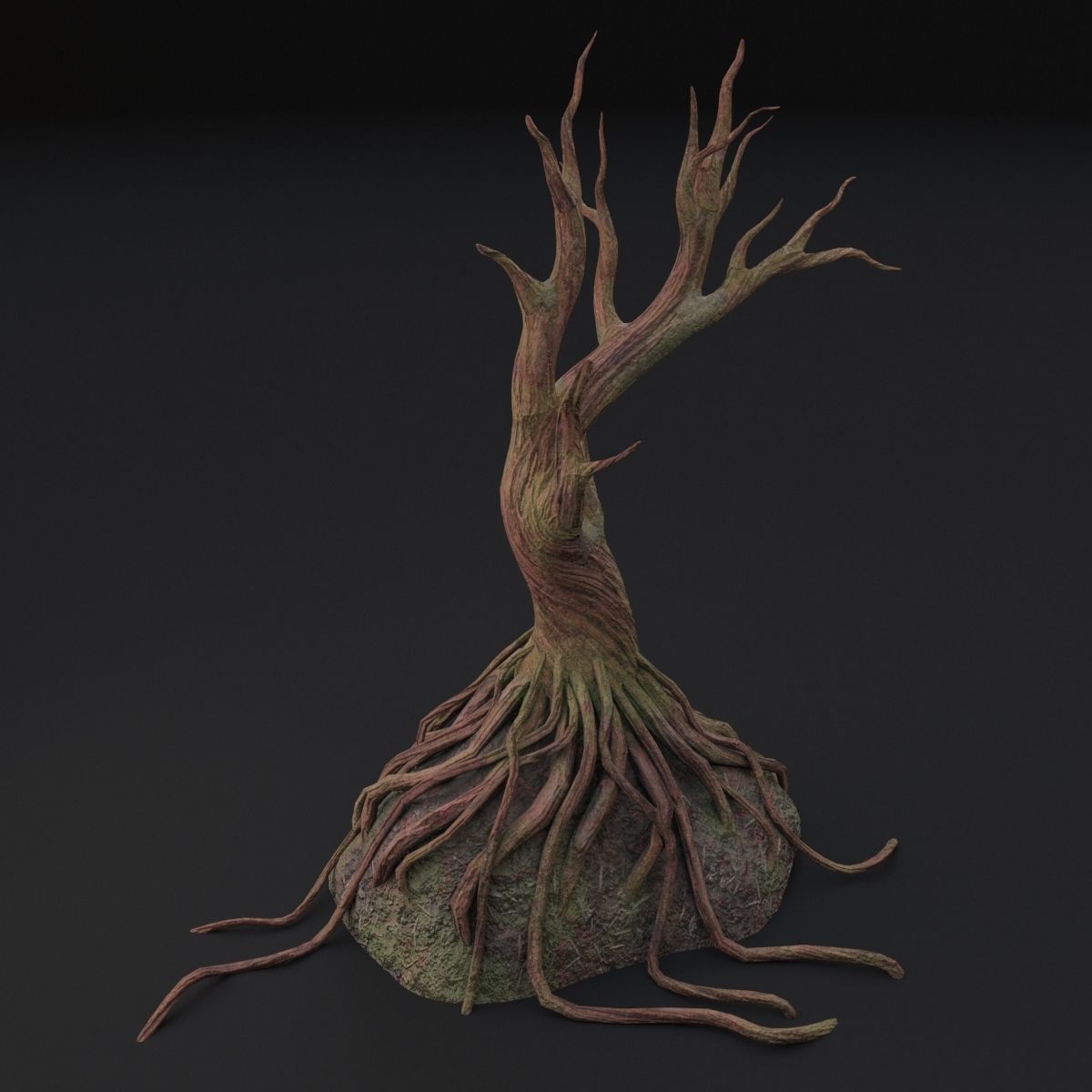 Old tree 3D model_4