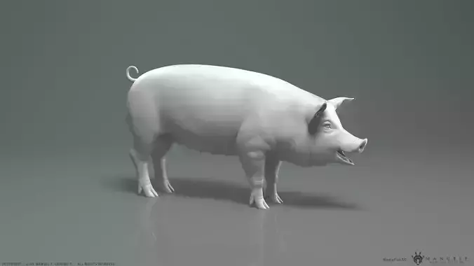 Pig - Highpoly Sculpture 3D model