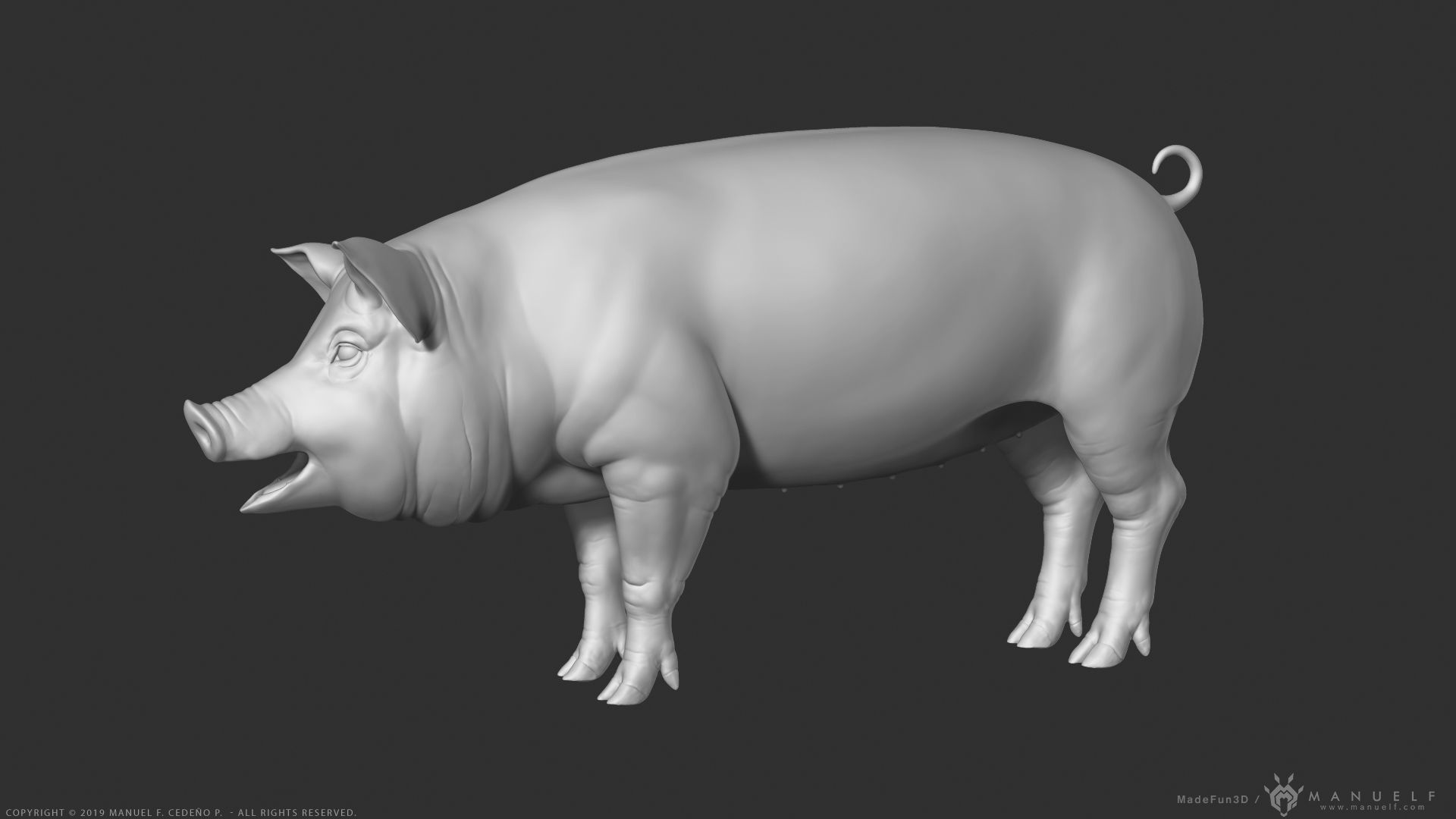 Pig - Highpoly Sculpture 3D model_3