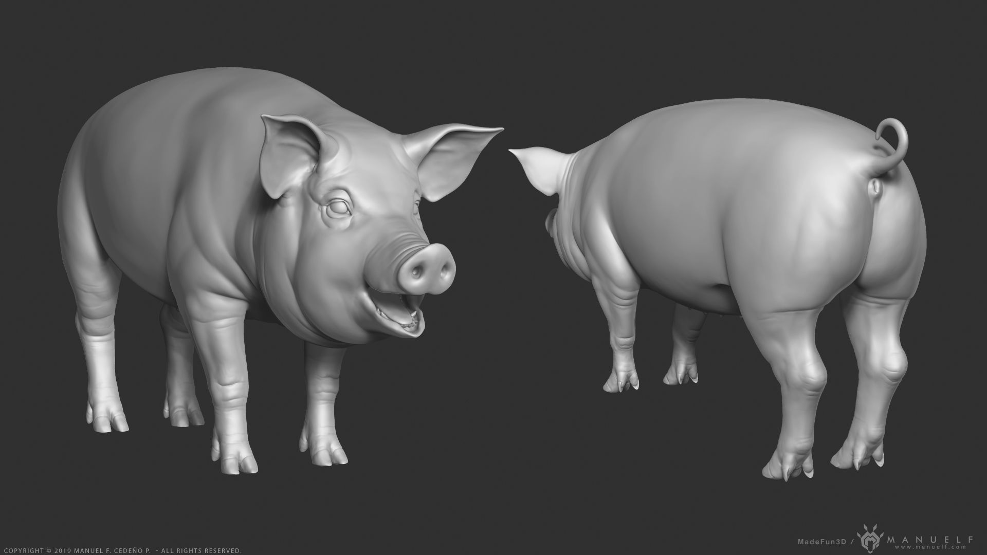 Pig - Highpoly Sculpture 3D model_4