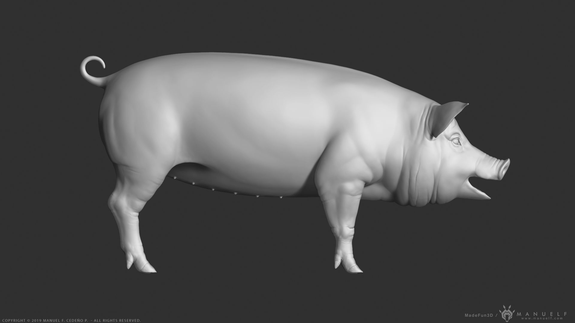 Pig - Highpoly Sculpture 3D model_2