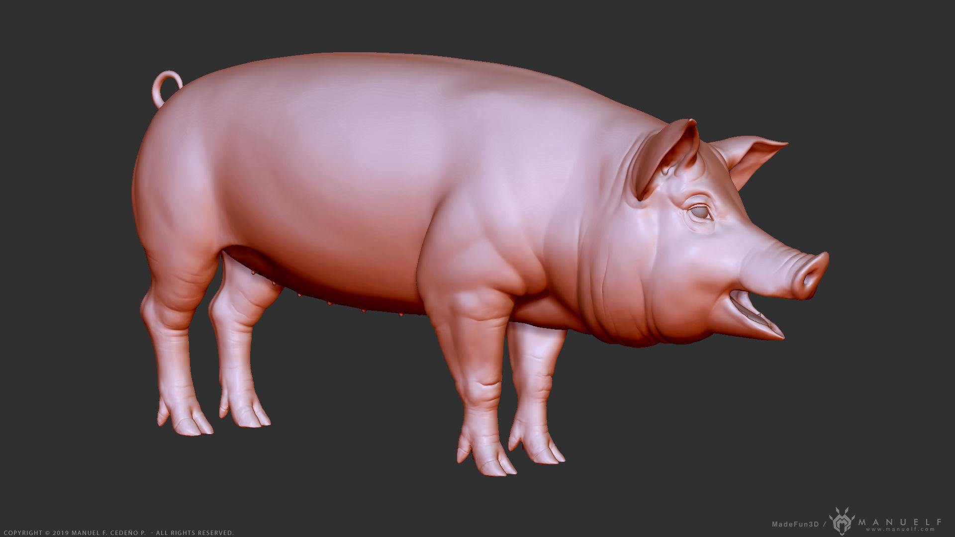 Pig - Highpoly Sculpture 3D model_6