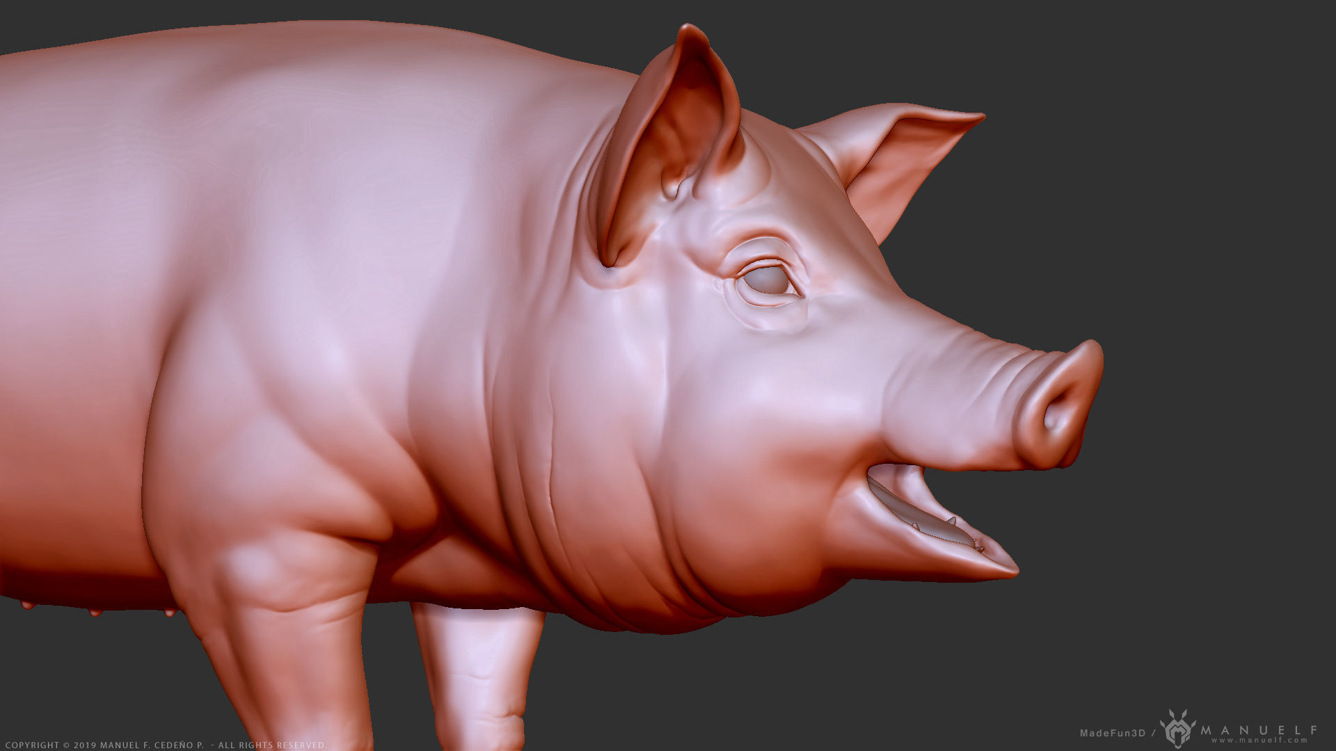 Pig - Highpoly Sculpture 3D model_9