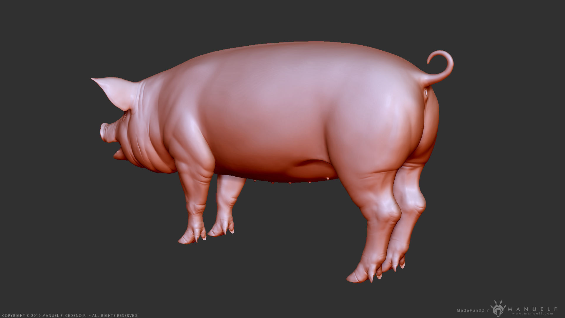Pig - Highpoly Sculpture 3D model_7