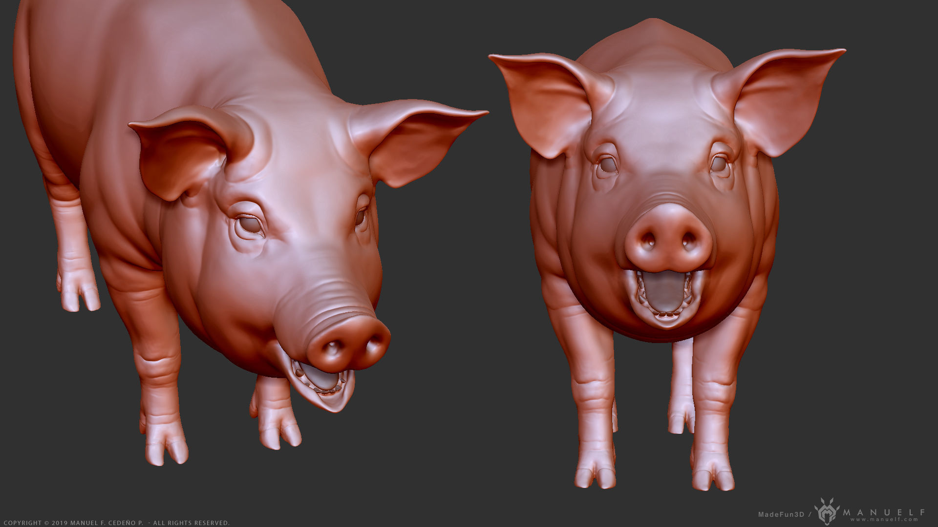 Pig - Highpoly Sculpture 3D model_8