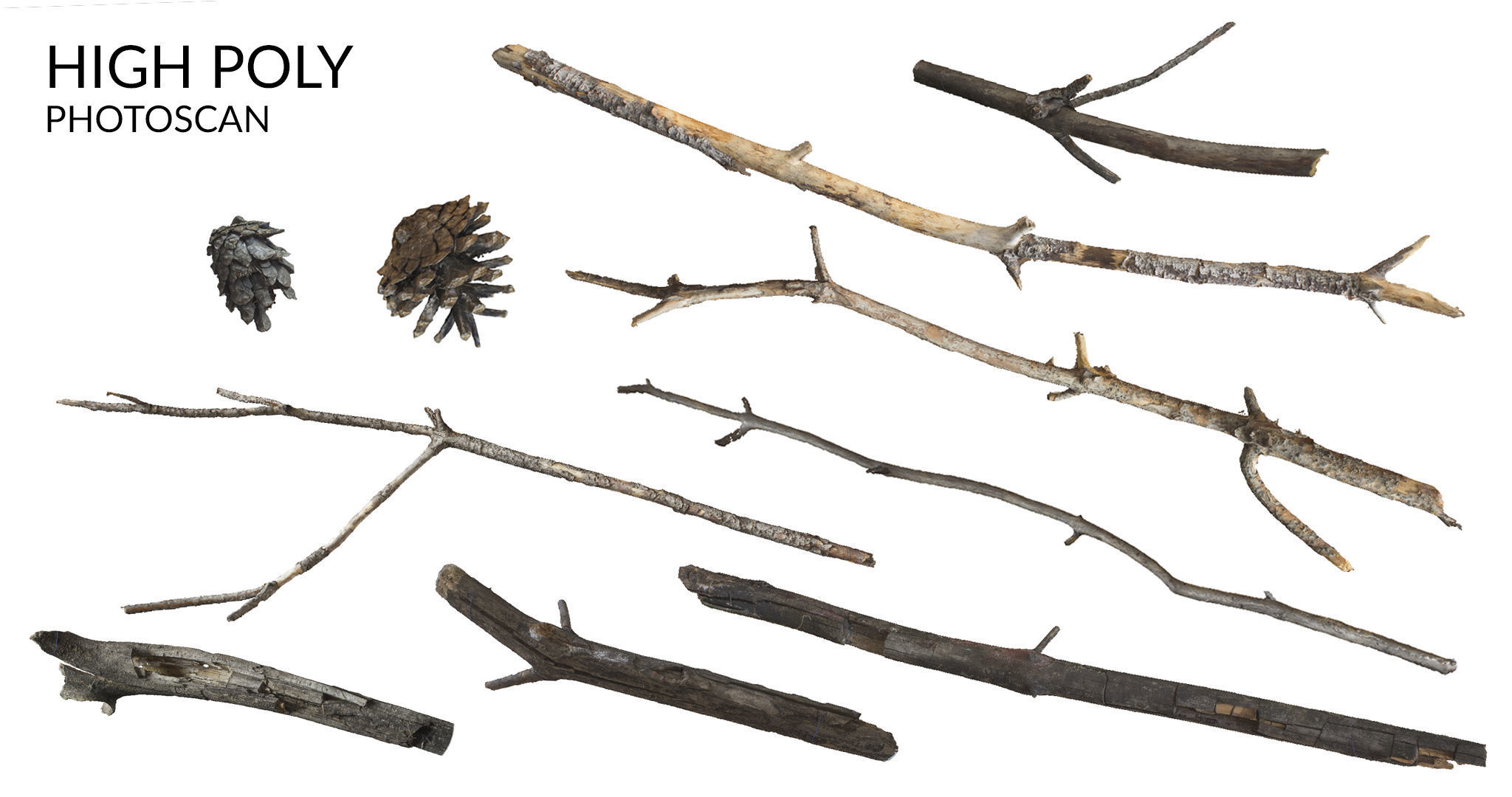 Pine Twigs and Cones Low-poly 3D model_4