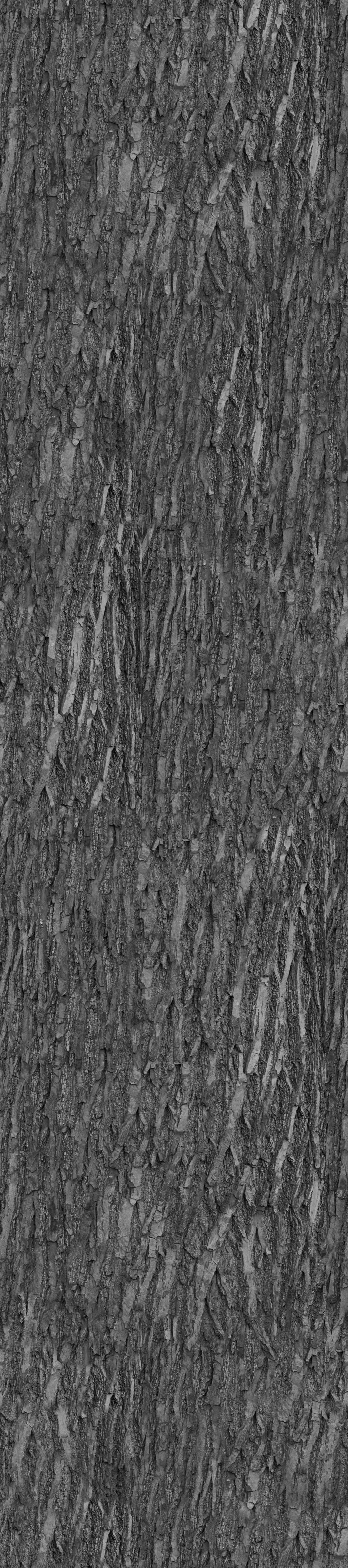 Indoor plant 3D model_7