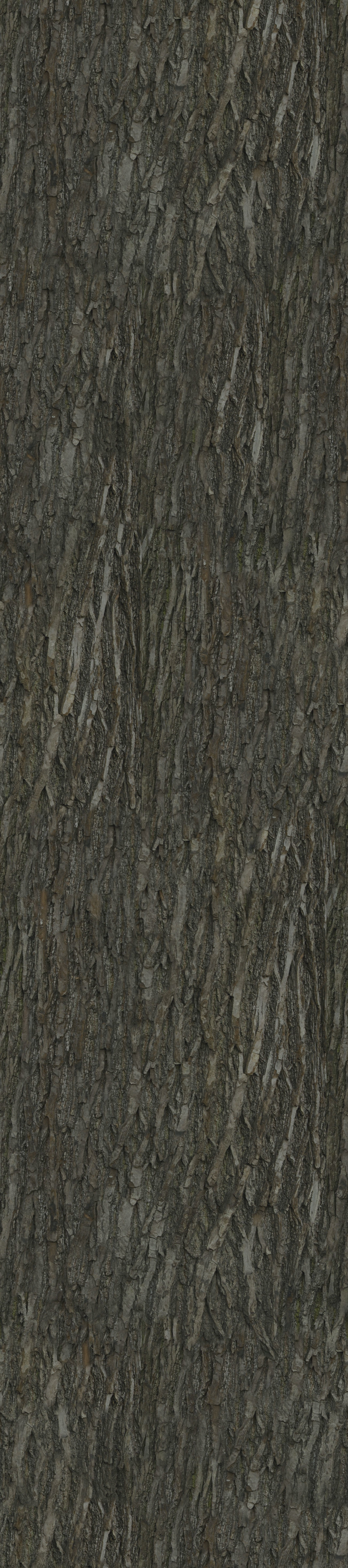 Indoor plant 3D model_8