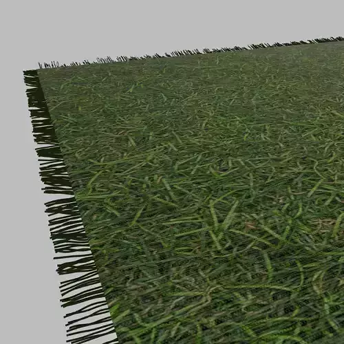 Carper grass tile 3D model