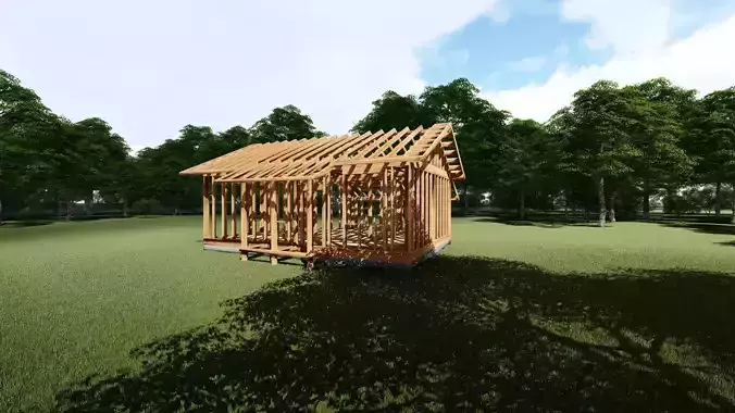 Small Framed House
