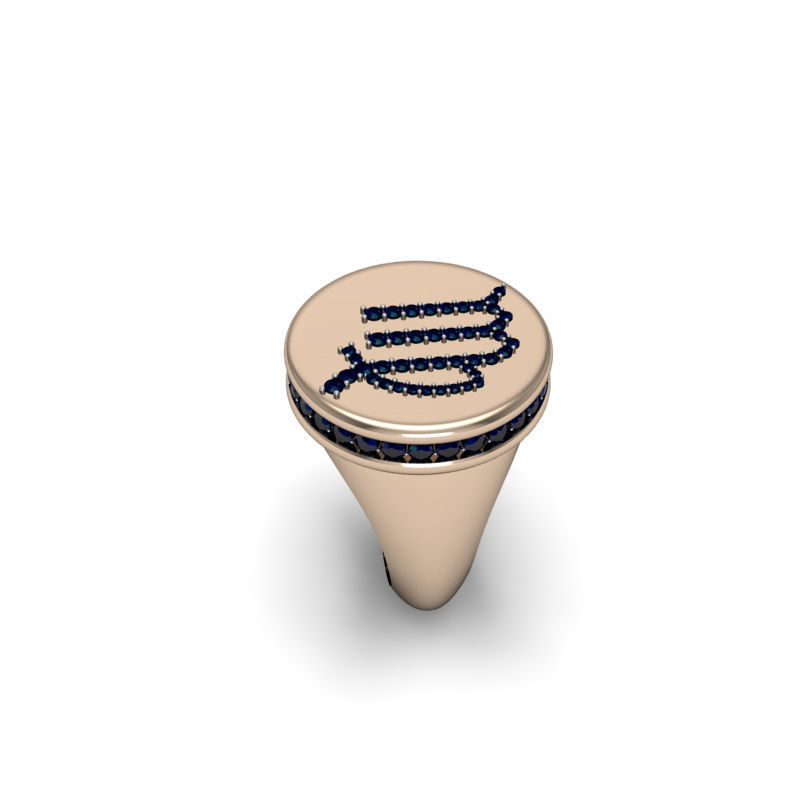 Virgo ring model 002 3D print model_10