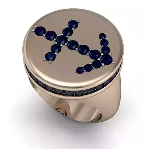 Sagittarius ring model 002 3D print model