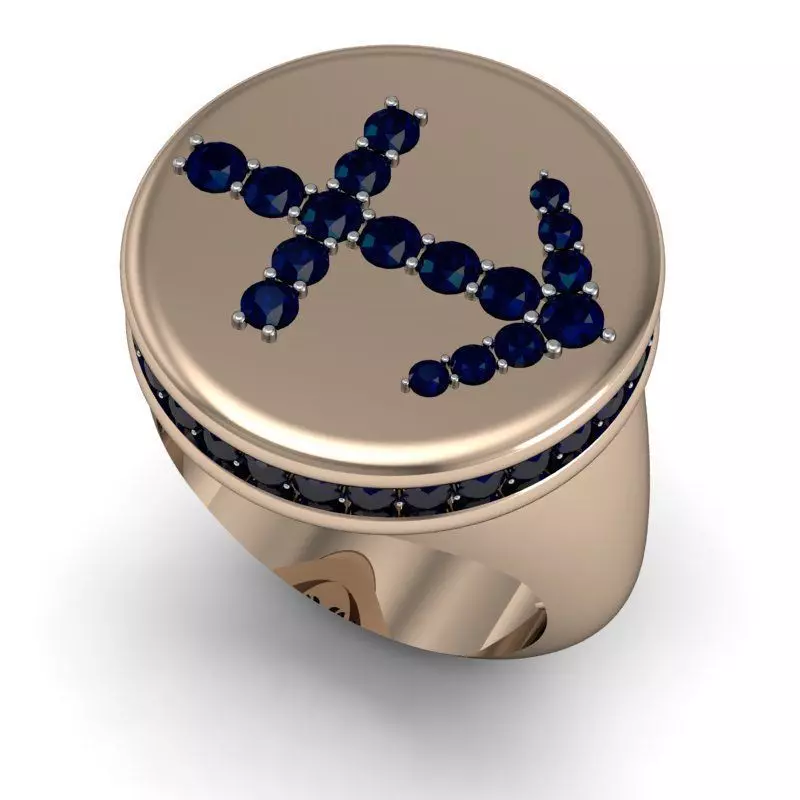 Sagittarius ring model 002 3D print model_0