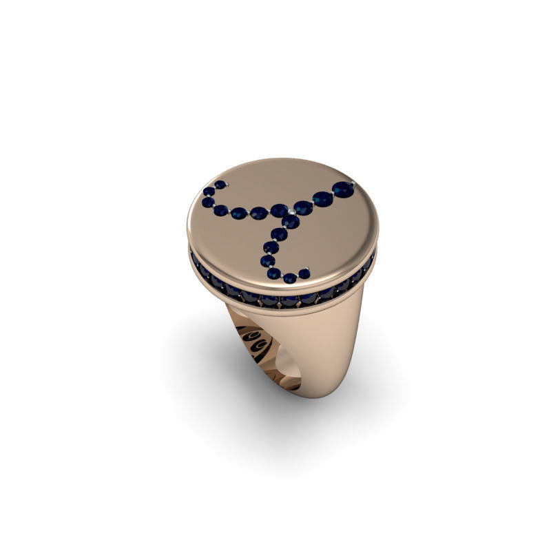 Aries ring model 002 3D print model_20