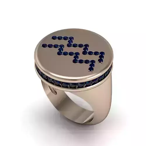 Aquarius ring model 002 3D print model