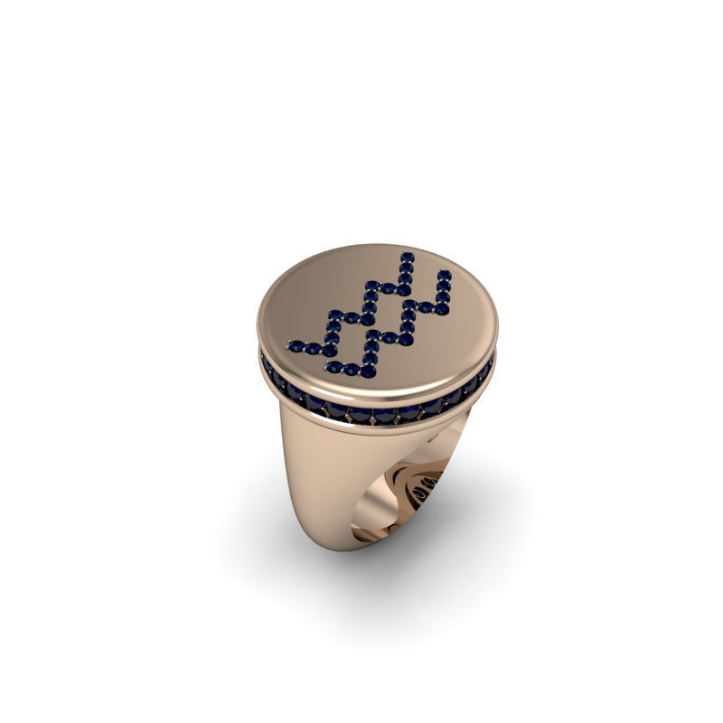 Aquarius ring model 002 3D print model_5