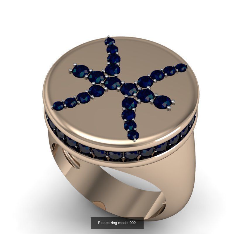 Zodiac Rings Collection 002 _5