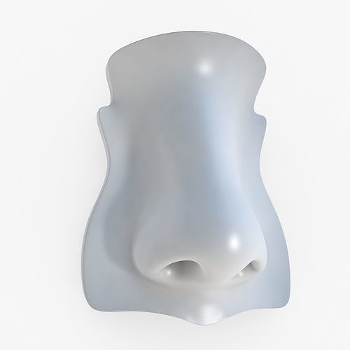 Nose 3d model Low-poly 3D model