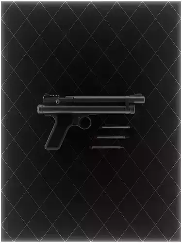 Tranquillizer Pistol and Ammo 3D model